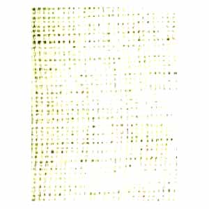 svetlaJuta.jpg, 11kB